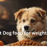 Best Dog food for weight gain