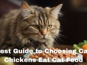 Can Chickens Eat Cat Food