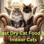 Best Dry Cat Food for Indoor Cats