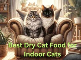 Best Dry Cat Food for Indoor Cats